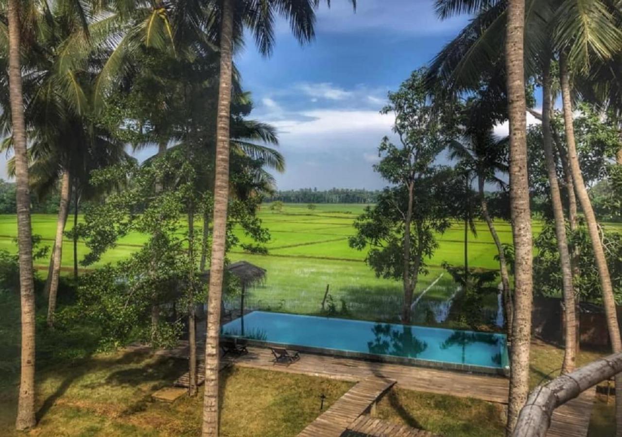Rice Rice Villas Tissamaharama Exterior photo