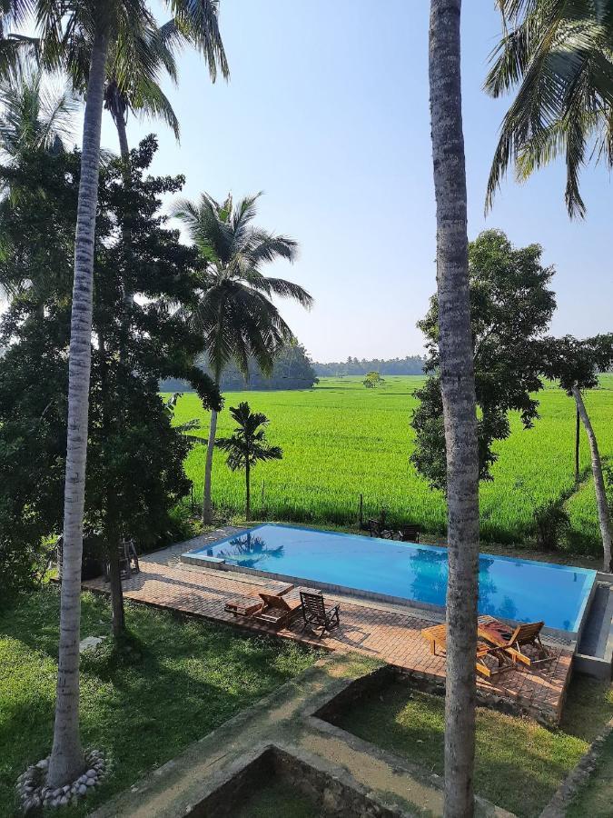 Rice Rice Villas Tissamaharama Exterior photo